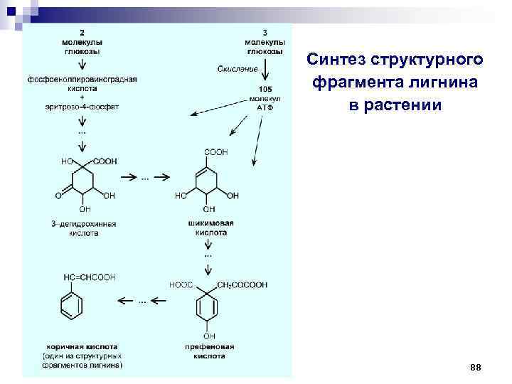 Синтез структурного фрагмента лигнина в растении 88 