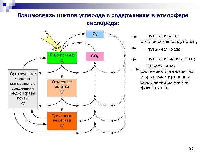 Путь кислорода