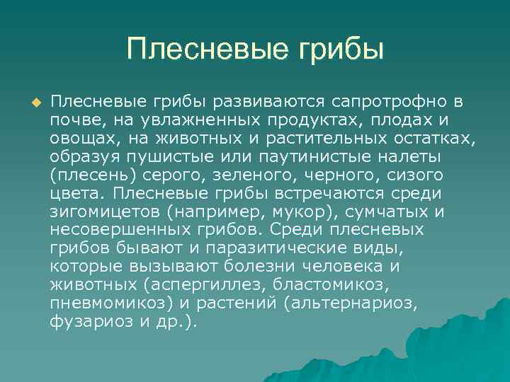Плесневые грибы u Плесневые грибы развиваются сапротрофно в почве, на увлажненных продуктах, плодах и