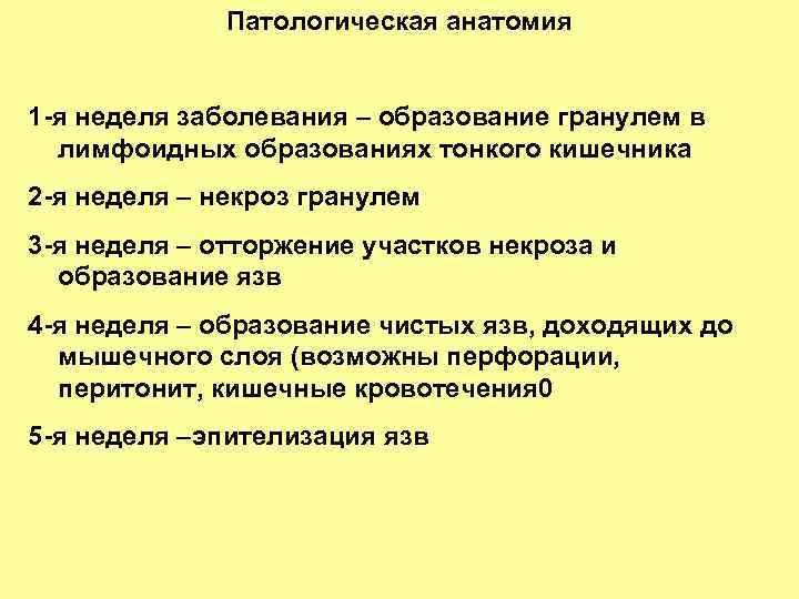 Патологическая анатомия 1 -я неделя заболевания – образование гранулем в лимфоидных образованиях тонкого кишечника