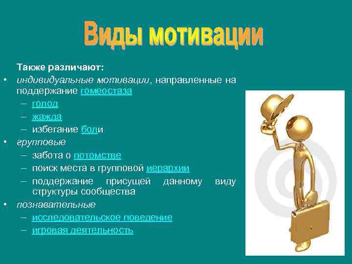 Также различают: • индивидуальные мотивации, направленные на поддержание гомеостаза – голод – жажда –