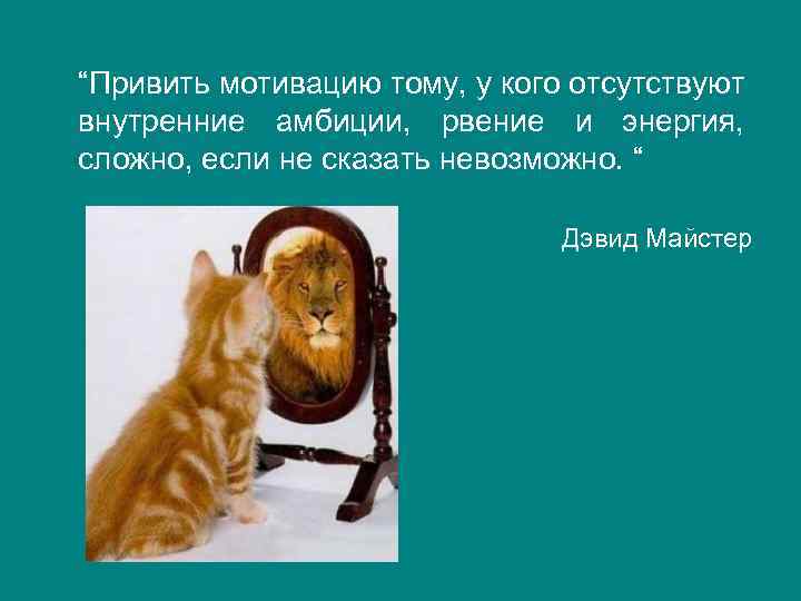 “Привить мотивацию тому, у кого отсутствуют внутренние амбиции, рвение и энергия, сложно, если не