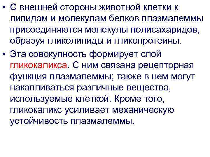  • С внешней стороны животной клетки к липидам и молекулам белков плазмалеммы присоединяются