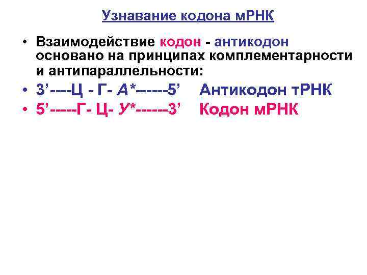 Узнавание кодона м. РНК • Взаимодействие кодон - антикодон основано на принципах комплементарности и