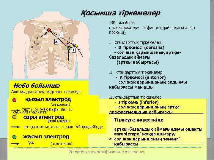 Қосымша тіркемелер 2 3 ñ 4 5 ЭКГ жазбасы ( электрокардиография жағдайындағы алып қосқыш):