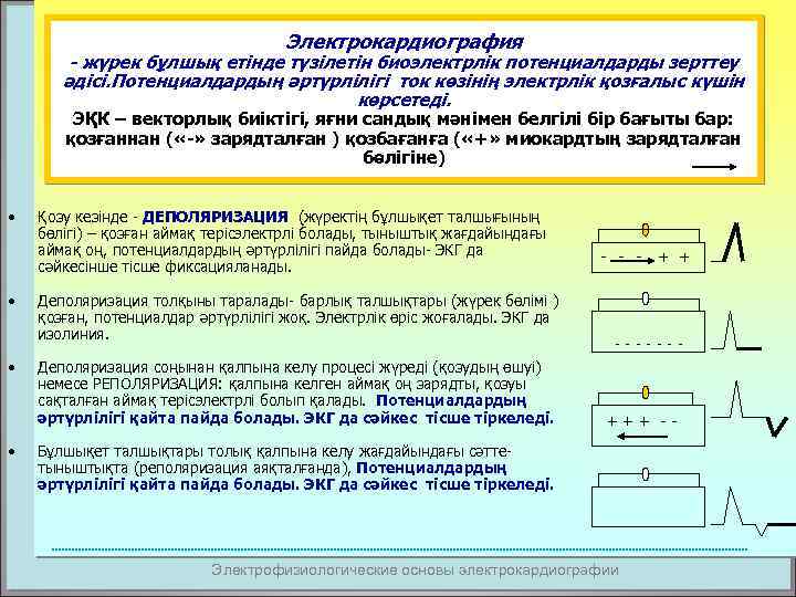 Электрокардиография - жүрек бұлшық етінде түзілетін биоэлектрлік потенциалдарды зерттеу әдісі. Потенциалдардың әртүрлілігі ток көзінің