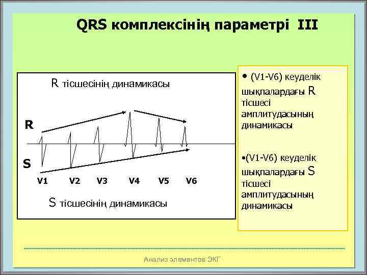 QRS комплексінің параметрі III • (V 1 -V 6) кеуделік шықпалардағы R R тісшесінің