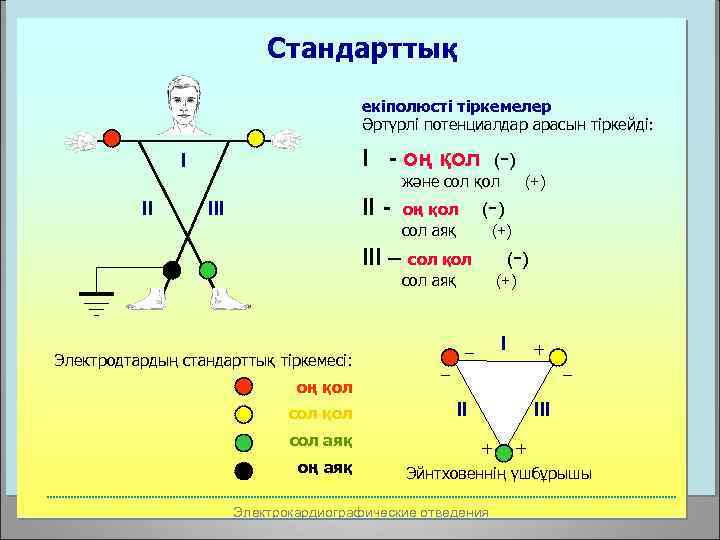 Правильная техника снятия ЭКГ - cardioline.moscow