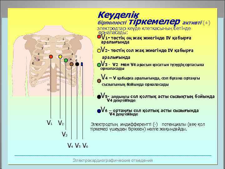 Кеуделік бірполюсті тіркемелер активті (+) электродтар кеуде клеткасының бетінде орналасады: 1 2 аралығында V