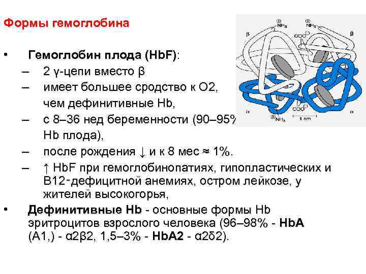 Гемоглобин 35 у мужчины. Фетальный гемоглобин строение. Структура гемоглобина. Особенности строения фетального гемоглобина. Фетальный гемоглобин характеристика.