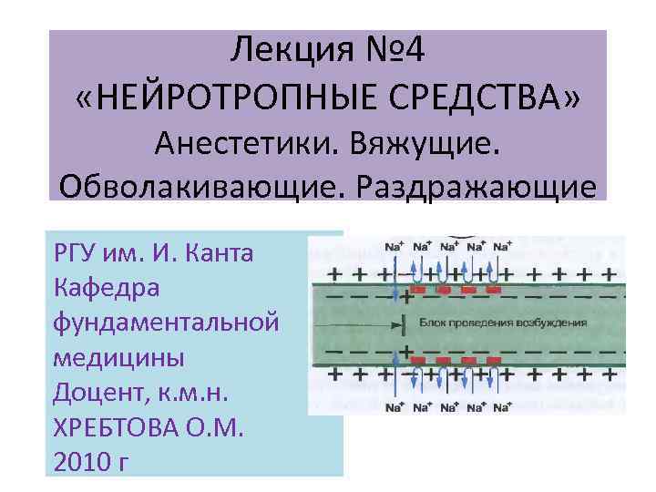 Лекция № 4 «НЕЙРОТРОПНЫЕ СРЕДСТВА» Анестетики. Вяжущие. Обволакивающие. Раздражающие РГУ им. И. Канта Кафедра