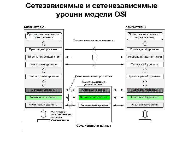 Сетезависимые и сетенезависимые уровни модели OSI 