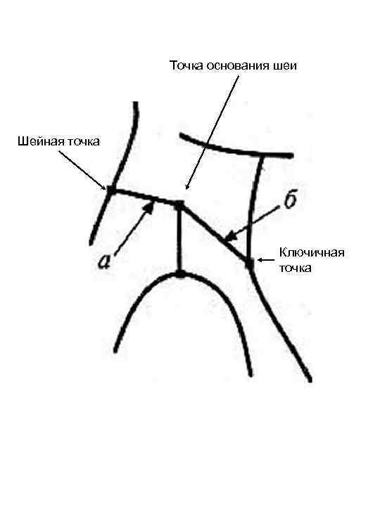 Точка основания. Точка основания шеи. Точка основания шеи сбоку. Точка основания шеи сбоку находится. Точка основания шеи спереди.