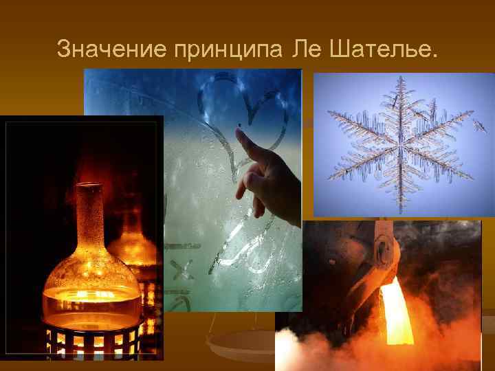 Значение принципа Ле Шателье. 