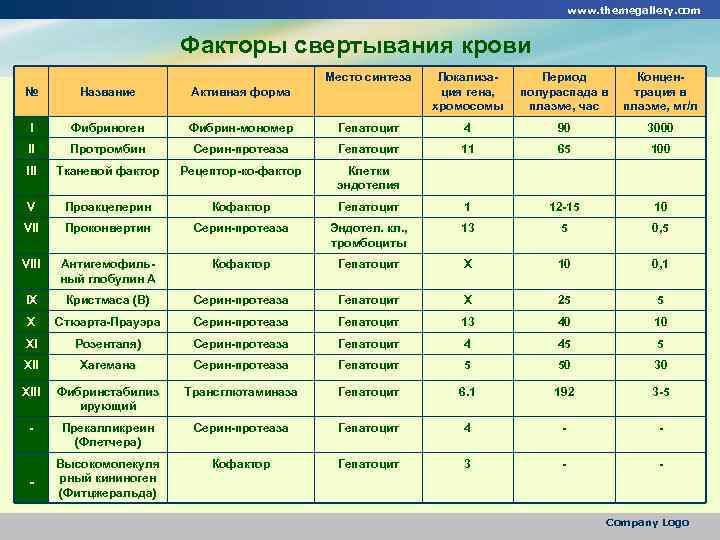 www. themegallery. com Факторы свертывания крови Место синтеза Локализация гена, хромосомы Период полураспада в