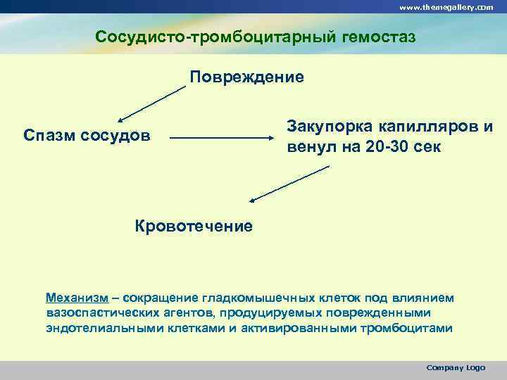 www. themegallery. com Сосудисто-тромбоцитарный гемостаз Повреждение Спазм сосудов Закупорка капилляров и венул на 20