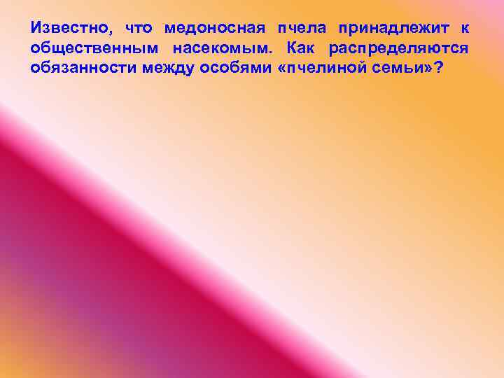 Известно, что медоносная пчела принадлежит к общественным насекомым. Как распределяются обязанности между особями «пчелиной