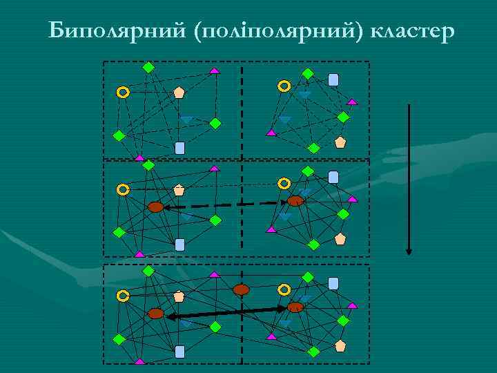 Биполярний (поліполярний) кластер 