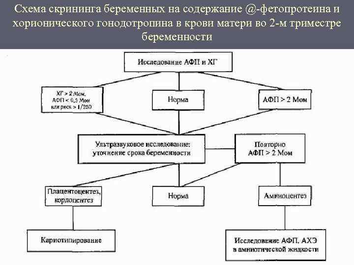 Схема скрининга беременных на содержание @-фетопротеина и хорионического гонодотропина в крови матери во 2