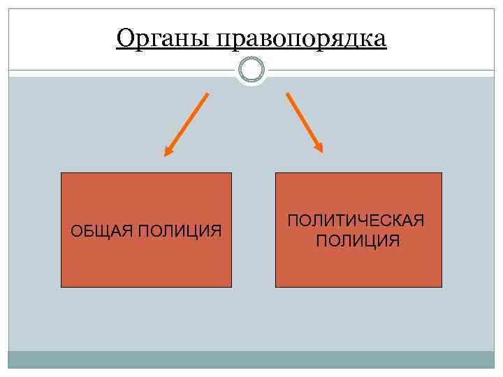 Органы правопорядка ОБЩАЯ ПОЛИЦИЯ ПОЛИТИЧЕСКАЯ ПОЛИЦИЯ 