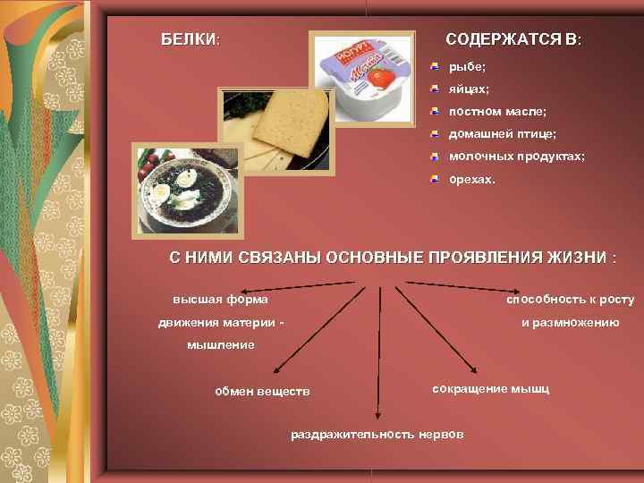 БЕЛКИ: СОДЕРЖАТСЯ В: рыбе; яйцах; постном масле; домашней птице; молочных продуктах; орехах. С НИМИ