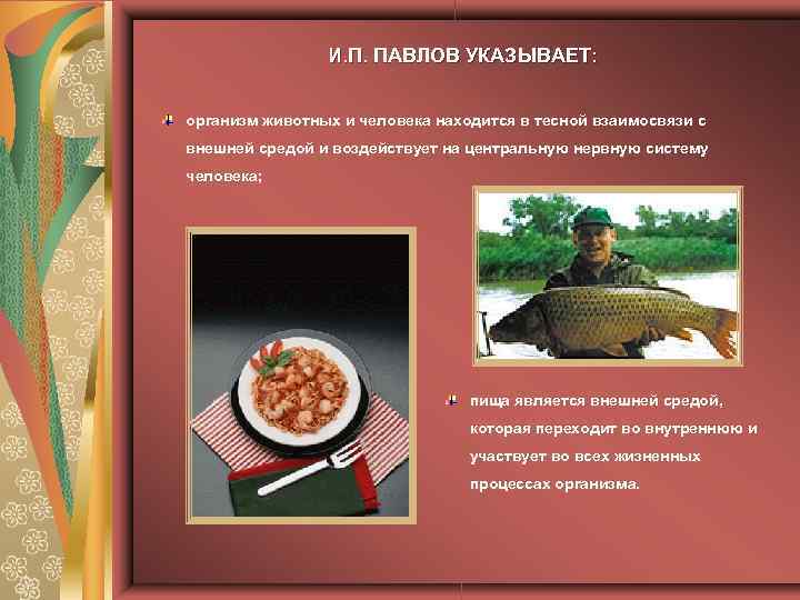 И. П. ПАВЛОВ УКАЗЫВАЕТ: организм животных и человека находится в тесной взаимосвязи с внешней