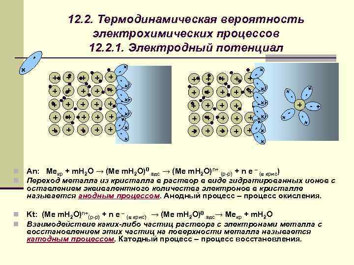 12. 2. Термодинамическая вероятность электрохимических процессов 12. 2. 1. Электродный потенциал - + -