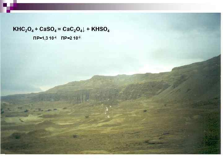 KHC 2 O 4 + Ca. SO 4 = Ca. C 2 O 4↓