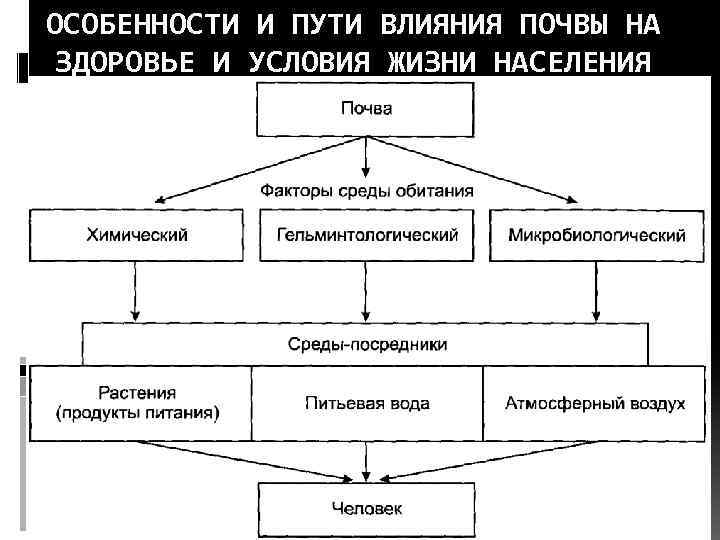 ОСОБЕННОСТИ И ПУТИ ВЛИЯНИЯ ПОЧВЫ НА ЗДОРОВЬЕ И УСЛОВИЯ ЖИЗНИ НАСЕЛЕНИЯ 