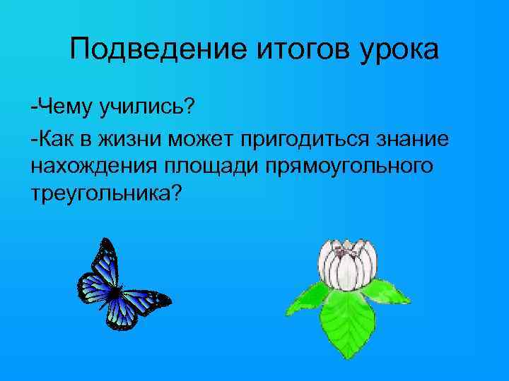 Подведение итогов урока -Чему учились? -Как в жизни может пригодиться знание нахождения площади прямоугольного