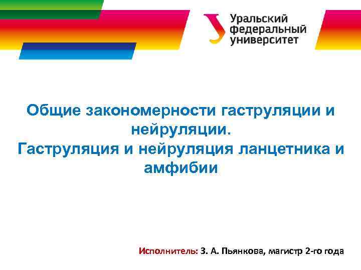 Общие закономерности гаструляции и нейруляции. Гаструляция и нейруляция ланцетника и амфибии Исполнитель: З. А.