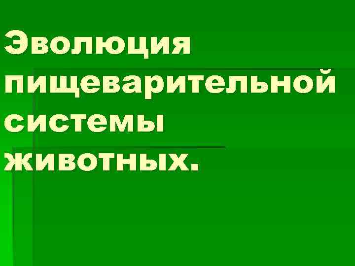 Эволюция пищеварительной системы животных. 