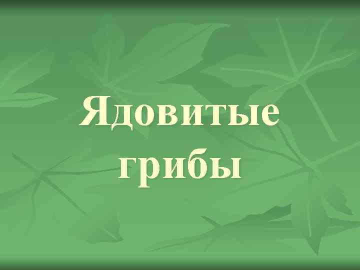 Ядовитые грибы 