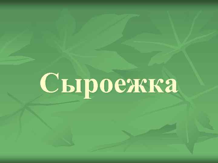 Сыроежка 
