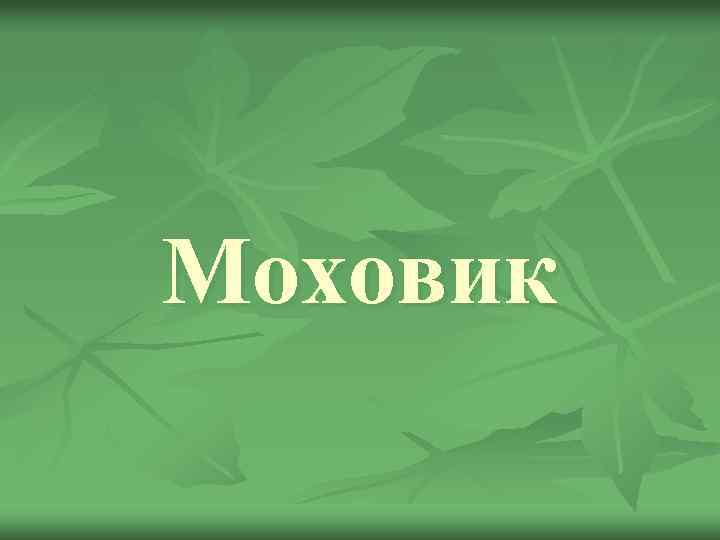 Моховик 