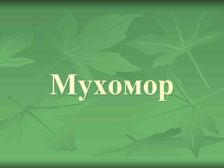 Мухомор 