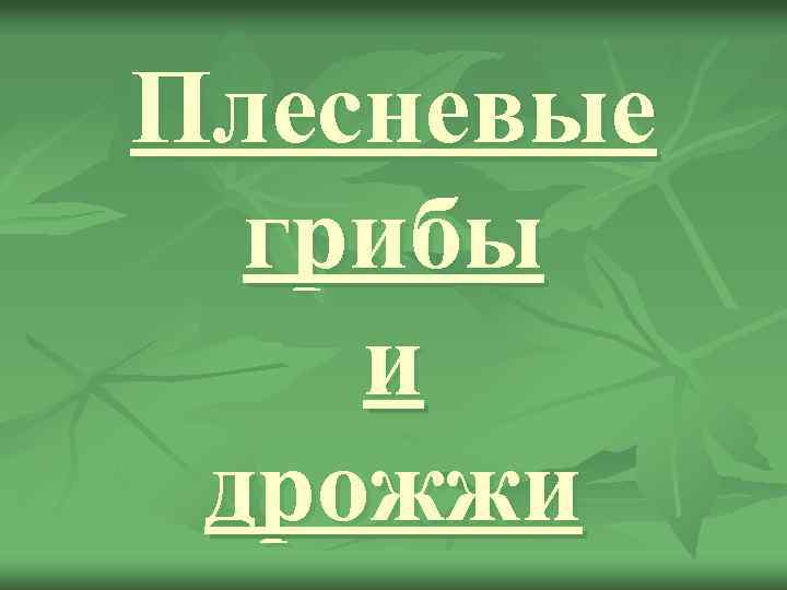 Плесневые грибы и дрожжи 