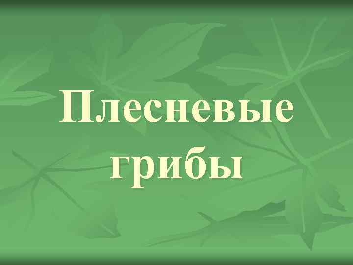 Плесневые грибы 