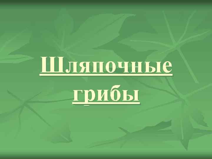 Шляпочные грибы 