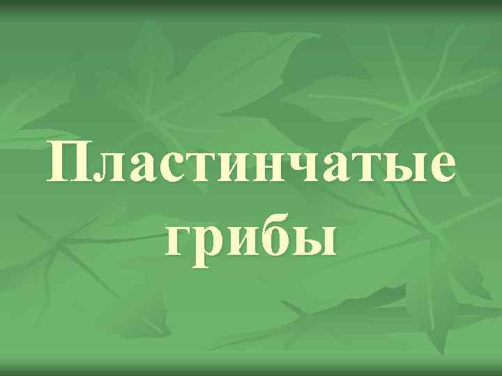 Пластинчатые грибы 