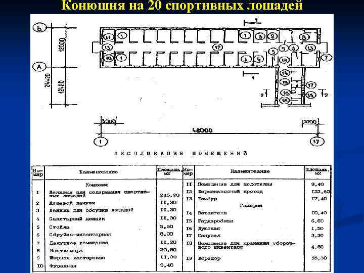 Конюшня на 20 спортивных лошадей 