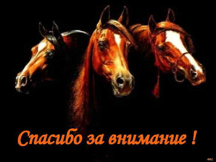 Спасибо за внимание ! BBC 