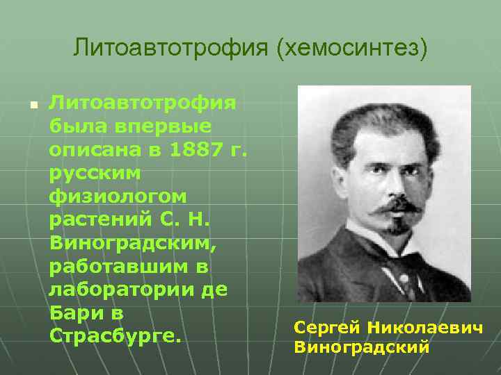 Виноградский. Виноградский Сергей Николаевич хемосинтез. Виноградский открыл хемосинтез. Ученый открывший хемосинтез. Открытие хемосинтеза с.н Виноградским.