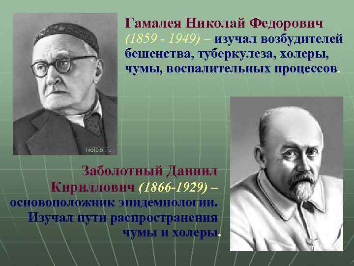 Гамалея Николай Федорович (1859 - 1949) – изучал возбудителей бешенства, туберкулеза, холеры, чумы, воспалительных
