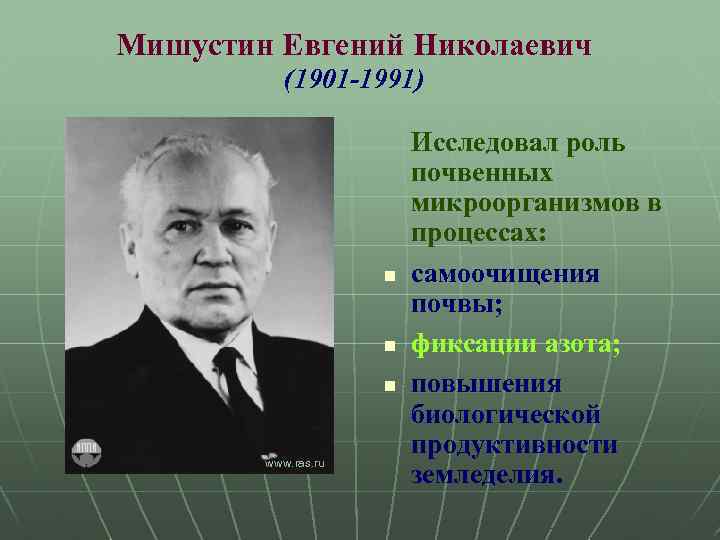 Мишустин Евгений Николаевич (1901 -1991) n n n www. ras. ru Исследовал роль почвенных