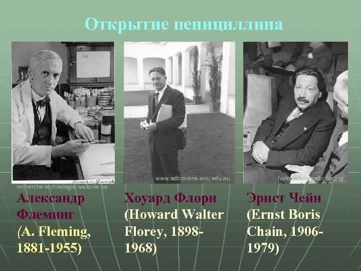 Открытие пенициллина www. adb. online. anu. edu. au recherche-technologie. wallonie. be Александр Флеминг (A.