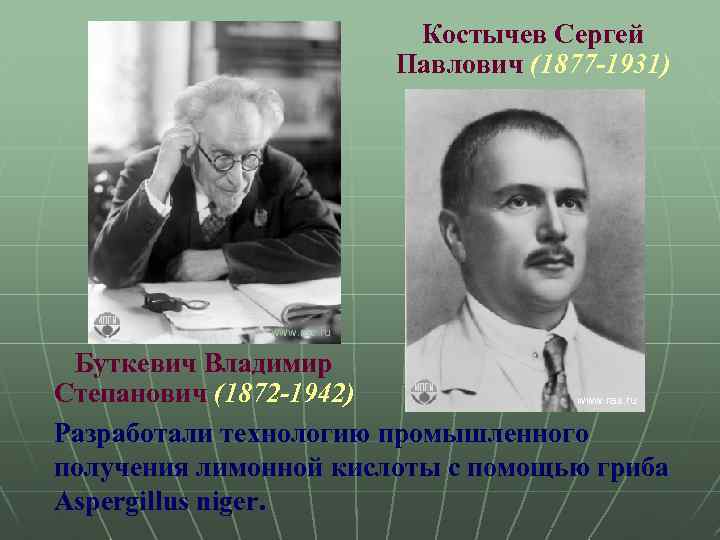 Костычев Сергей Павлович (1877 -1931) www. ras. ru Буткевич Владимир Степанович (1872 -1942) www.
