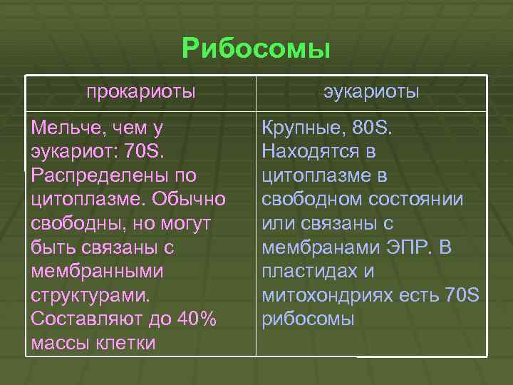 Рибосомы отличия. Структура рибосом про- и эукариот. Рибосомы 70s функции. Строение рибосом про и эукариот. Отличие рибосом эукариот от рибосом прокариот таблица.