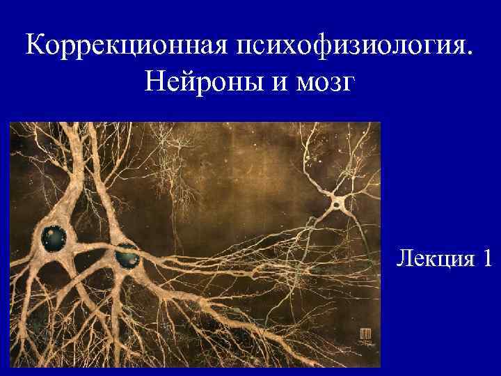 Коррекционная психофизиология. Нейроны и мозг Лекция 1 