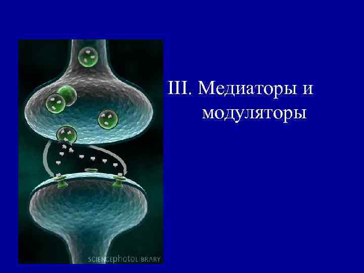 III. Медиаторы и модуляторы 